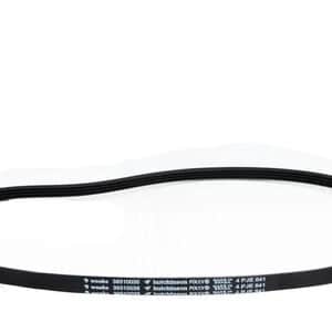 Correia Para Tanquinho Wanke Bárbara 10 Kg 39310035