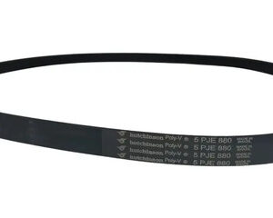 Correia Do Tanquinho Colormaq Lcm 9kg/15kg 5pje880
