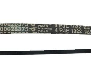 Correia Tanquinho Lavadora Mueller Aquatec 4pje 1022