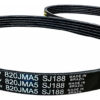 Correia Tanquinho Libell 10kg 12kg 14kg 20,5kg – 820 Jma 5