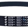 Correia Para Tanquinho Newmaq Numero 7pje 616 Original