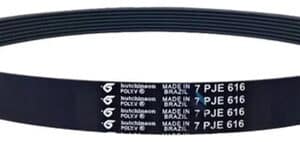 Correia Para Tanquinho Newmaq Numero 7pje 616 Original