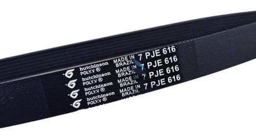 Correia Lavadora Newmaq New Up 7pje616 10 Kg – Original