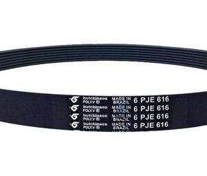 Correia Tanquinho Newmaq Up 10kg-12kg (6 Pje 616 ) Original
