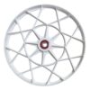 Polia Tanquinho Colormaq Com Correia Para Lcm 10kg Á 20kg