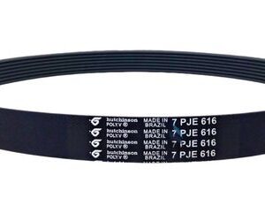 Correia Para Tanquinho Newmaq Newup 10kg 7 Pje 616 Original