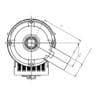 Cerveja Artesanal Bomba Recirculação Eletrobomba 220v